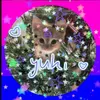 yuki_th3_cat.n.dog