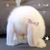bunnyieouu