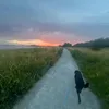 jagebest2.000