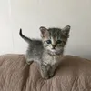 please_kill_me_pleasexxx