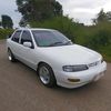 timor.s515white