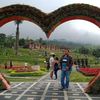 setyawan.asoyasoy