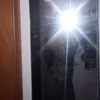 sofiii_asim