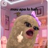 fina.widy1