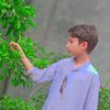 ahmarkhan903