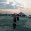shee_8998