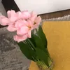 فراشة🦄