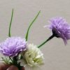 sadia27424