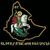 mulu.terefe71