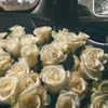 nasti_wwg21102011