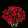 m.saleem.m.saleem268