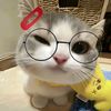 yuni.yn81