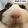 rosros0.1.0