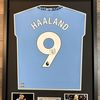 haalad137