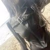 liko_72