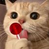 berrymsji