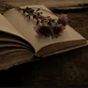 zahraa.ali277