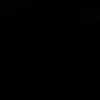 9alli_2