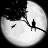 user88256171873815