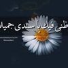 user28148884669351