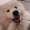 szymonllll