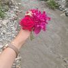 derya_1_2