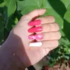 evellynailss