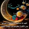 lelaabass3