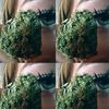 stizzstayhighnolie