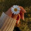user1126883579673