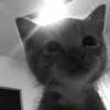 luzik.nexe