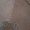 noyaaaa._aa