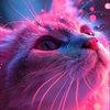 user9433077084483
