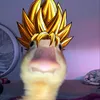 duck_mst