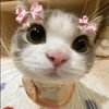 .fany620