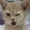 kitagapcran.tpkmpnyaaku