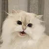 namondiy6