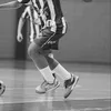 leosuporte01