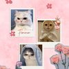 fans_gsky645