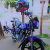 elvis8446