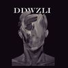 ddwzli1