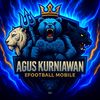 agus.kurniawan5305