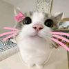 tania.nurhaeni