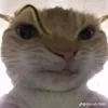 khnhlngckhnh