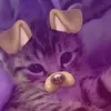 mylxn22