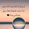 user30339278409410