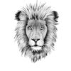 danger.lion4