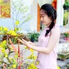 quinh.store