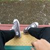 xavii_.55
