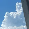 tkmtarh